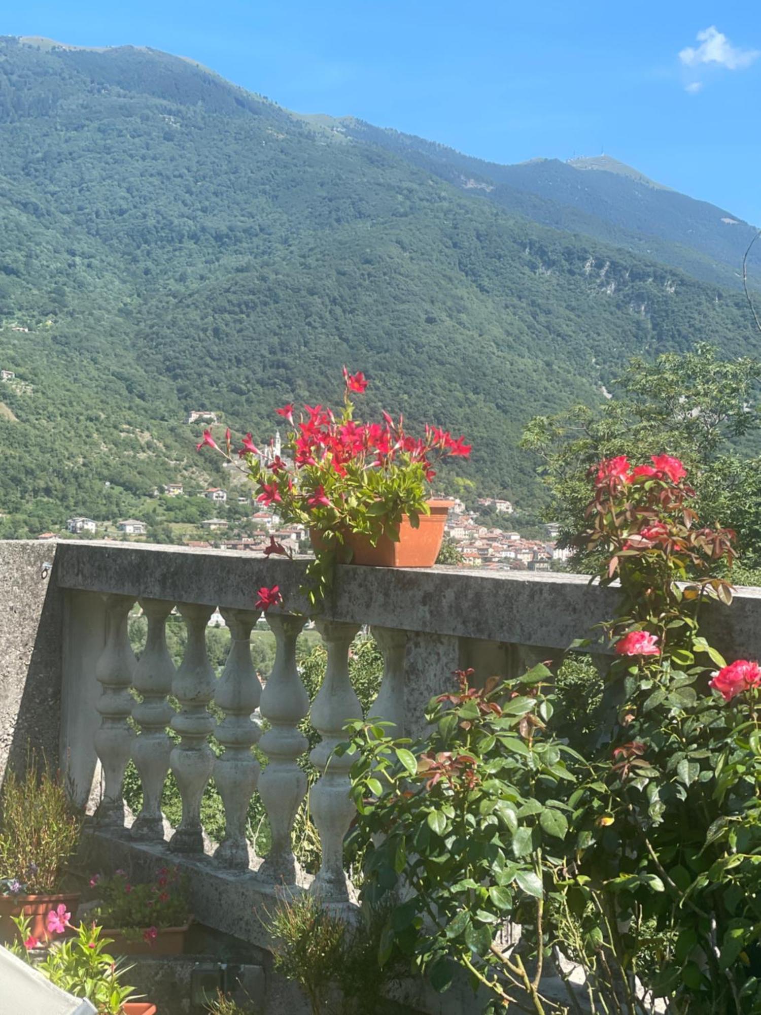 Holiday home Altravista Tarzo *